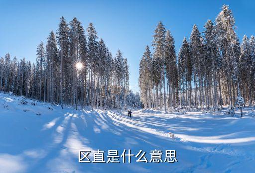 區直是什么意思