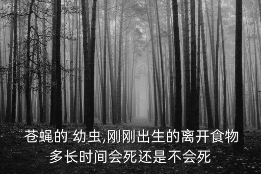 蒼蠅幼蟲