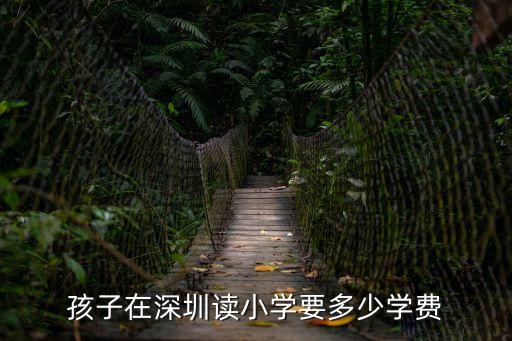 孩子在深圳讀小學要多少學費