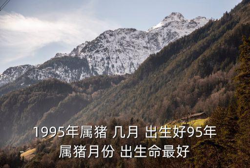 屬豬的幾月出生最好,2007年屬豬的幾月出生最好