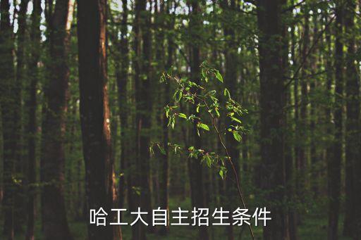 哈工大自主招生條件