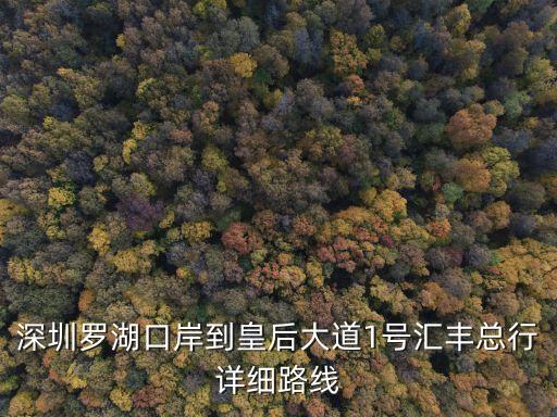 深圳羅湖口岸到皇后大道1號匯豐總行詳細(xì)路線