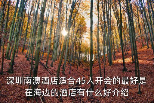 深圳南澳酒店適合45人開會的最好是在海邊的酒店有什么好介紹