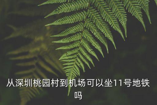 深圳至桃花源機場，深圳桃源村到廣州白云機場