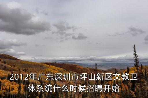 深圳坪山選調(diào)教師公告，深圳職員坪山新區(qū)資格審查公告