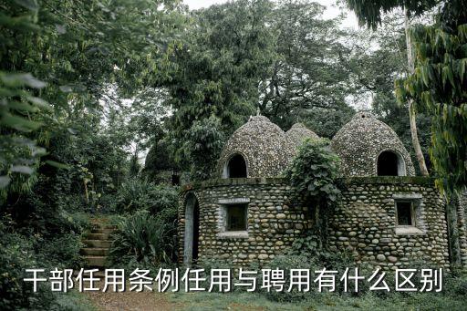 上海市援外干部管理辦法，上海市對支內支邊職工和知青返滬的最新政策規定
