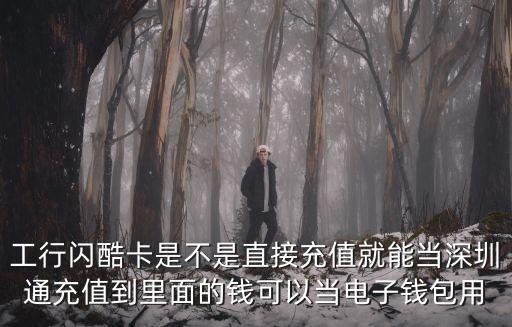 工行閃酷卡是不是直接充值就能當深圳通充值到里面的錢可以當電子錢包用