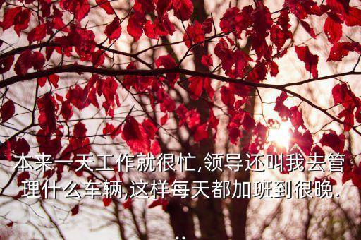 本來一天工作就很忙,領導還叫我去管理什么車輛,這樣每天都加班到很晚...