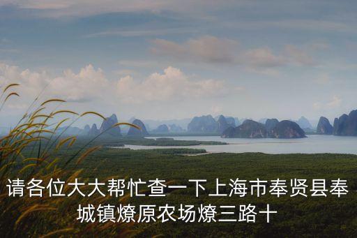 上海市奉賢區奉城鎮鎮府官網，請各位大大幫忙查一下上海市奉賢縣奉城鎮燎原農場燎三路十