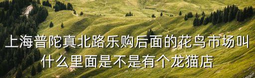 上海普陀真北路樂購后面的花鳥市場叫什么里面是不是有個龍貓店