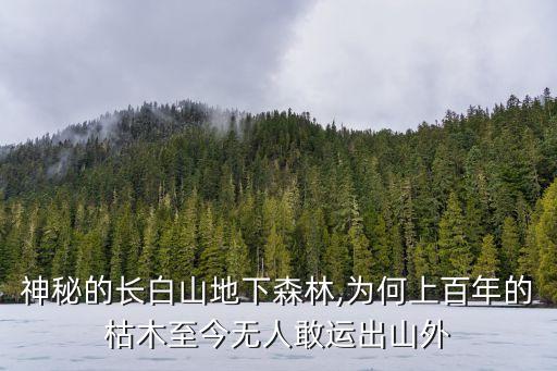 火山口國家森林公園,牡丹江火山口國家森林公園
