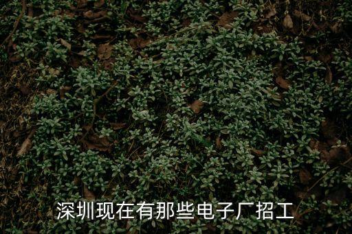深圳現在有那些電子廠招工