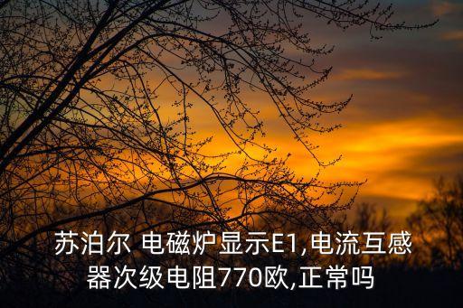 蘇泊爾電磁爐e1,電磁爐常見故障代碼e0檢測無鍋或鍋不適用