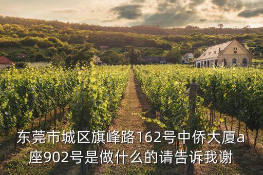 東莞市城區旗峰路162號中僑大廈a座902號是做什么的請告訴我謝