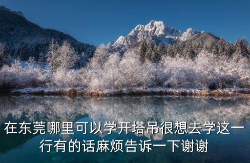 在東莞哪里可以學開塔吊很想去學這一行有的話麻煩告訴一下謝謝