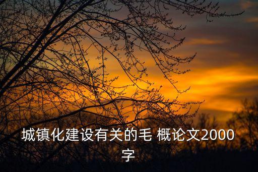 城鎮化建設有關的毛 概論文2000字