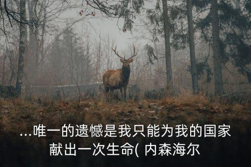 ...唯一的遺憾是我只能為我的國家獻出一次生命( 內森海爾