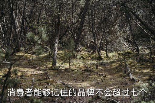 消費(fèi)者能夠記住的品牌不會(huì)超過(guò)七個(gè)