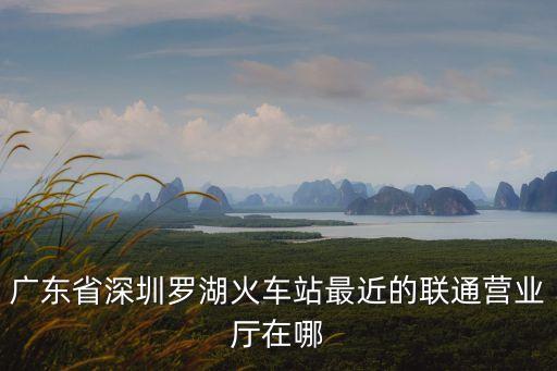 深圳市羅湖區蓮塘路58號，羅湖區勞動仲裁辦公地址