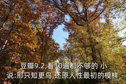 豆瓣高分小說,《殺死一只知更鳥》豆瓣打出9.2分