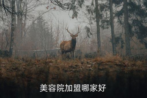 雅致軒,我國首家無費加盟化妝品牌雅致軒正式開業(yè)