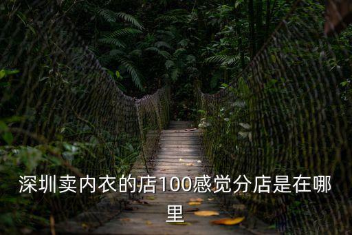 深圳68內衣專賣店分店，深圳賣內衣的店100感覺分店是在哪里