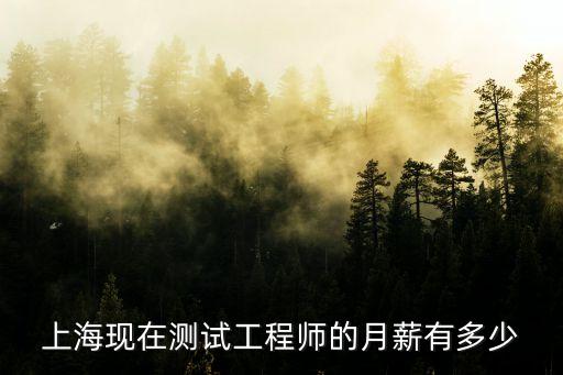 上海現在測試工程師的月薪有多少