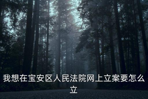 深圳市寶安區(qū)人民法院網(wǎng)案，我想在寶安區(qū)人民法院網(wǎng)上立案要怎么立