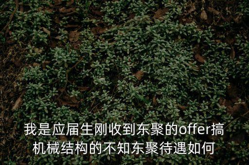 我是應屆生剛收到東聚的offer搞機械結構的不知東聚待遇如何
