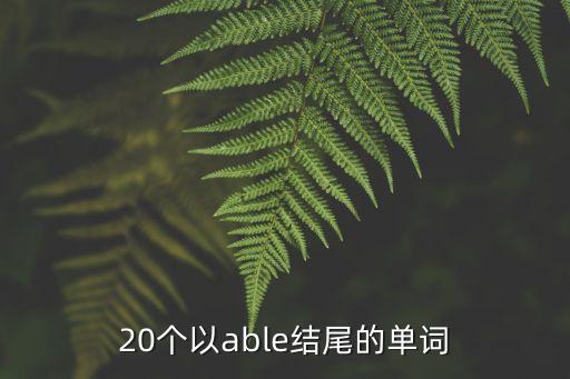 20個以able結尾的單詞
