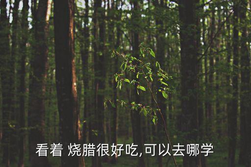 看著 燒臘很好吃,可以去哪學(xué)