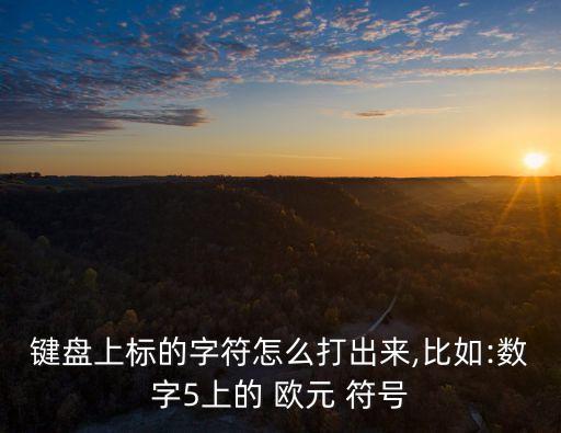 鍵盤上標的字符怎么打出來,比如:數字5上的 歐元 符號