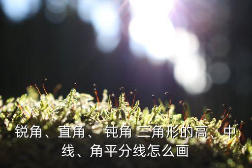 鈍角三角形的高怎么畫,四年級下冊鈍角三角形的高怎么畫