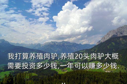 我打算養殖肉驢,養殖20頭肉驢大概需要投資多少錢,一年可以賺多少錢...