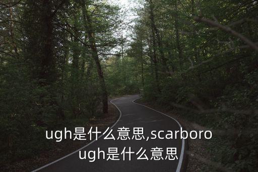 rough是什么意思,scarborough是什么意思