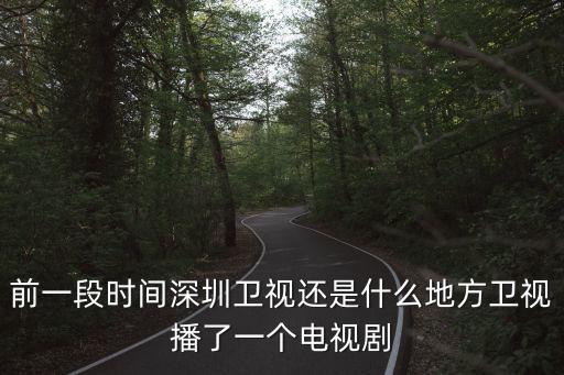 前一段時間深圳衛視還是什么地方衛視播了一個電視劇