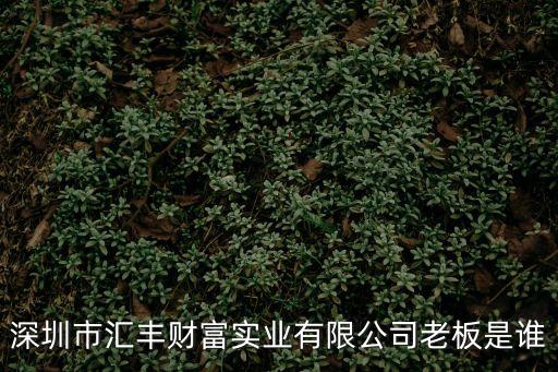 深圳市匯豐財富實業(yè)有限公司老板是誰