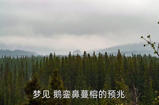 夢見 鵝鑾鼻蔓榕的預兆