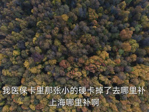 我醫(yī)保卡里那張小的硬卡掉了去哪里補(bǔ)上海哪里補(bǔ)啊