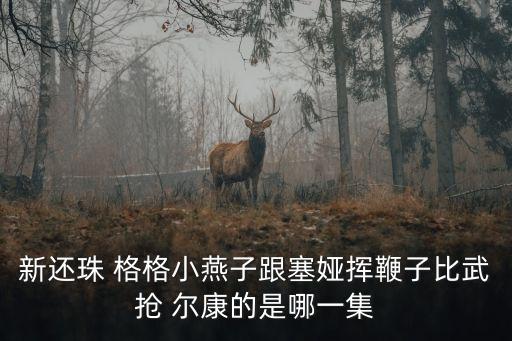 新還珠 格格小燕子跟塞婭揮鞭子比武搶 爾康的是哪一集