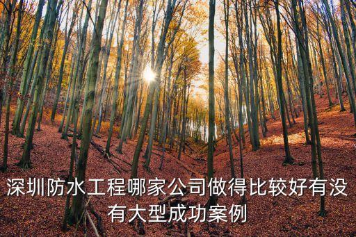 深圳防水工程哪家公司做得比較好有沒有大型成功案例