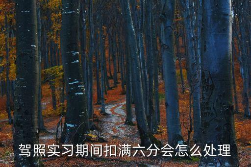 6分