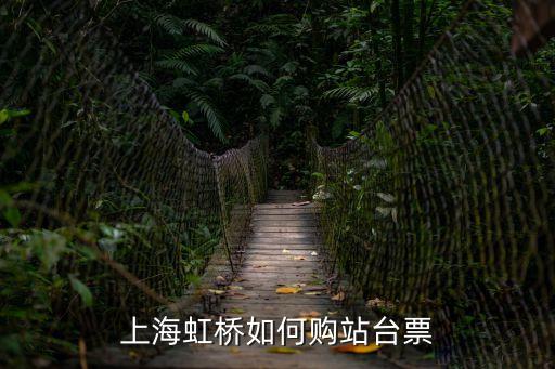 上海虹橋如何購站臺票