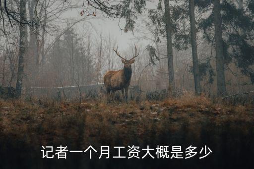 記者一個(gè)月工資大概是多少