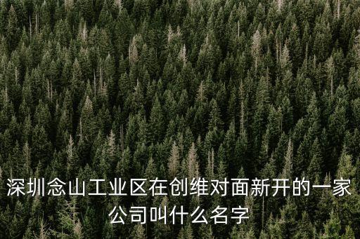 深圳航一佳光電，深圳念山工業區在創維對面新開的一家公司叫什么名字