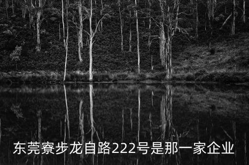 東莞博益互聯(lián)，東莞寮步龍自路222號是那一家企業(yè)