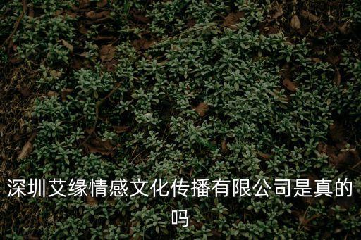 深圳艾緣情感文化傳播有限公司是真的嗎