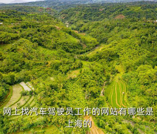 上海市代駕招聘網站，我想問一下上海有沒有司機招聘網呀