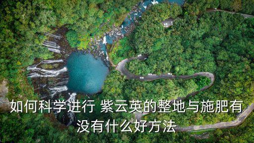 紫云英種子,紫云英一畝能產(chǎn)多少種子?