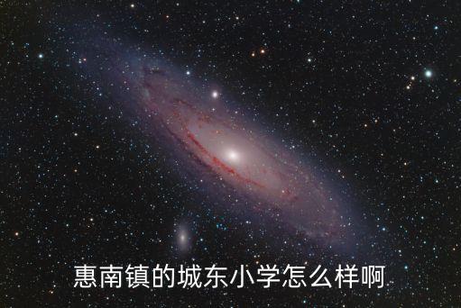 上海市城東小學(xué)，惠南鎮(zhèn)的城東小學(xué)怎么樣啊